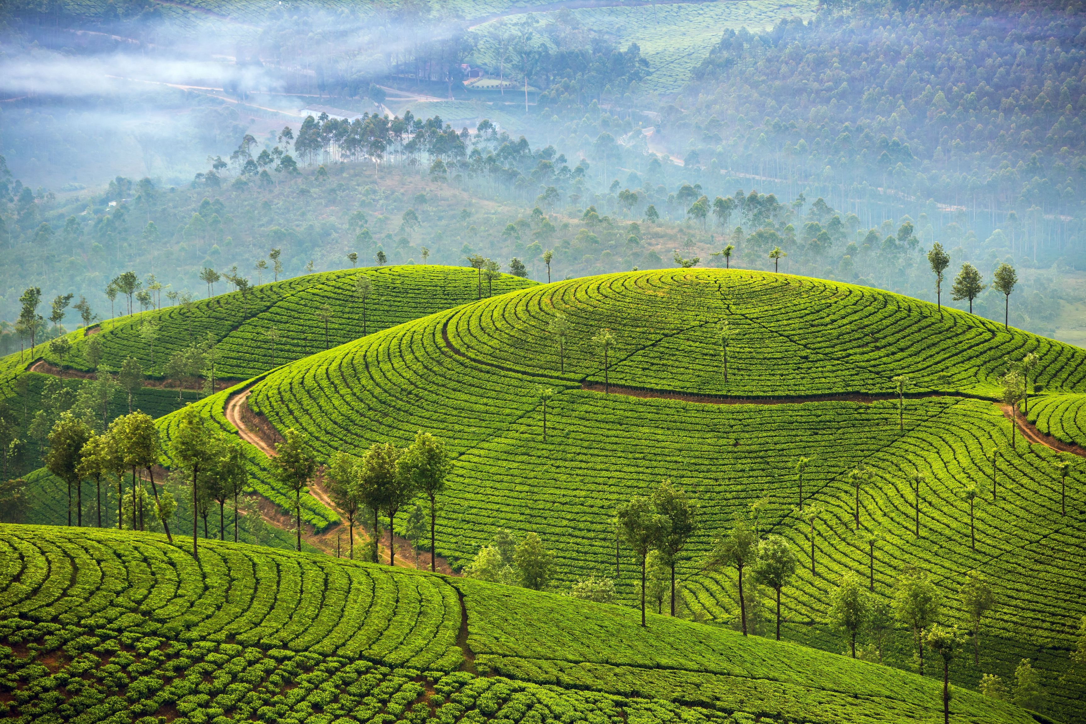 5-Day Sri Lanka Tour private Sri Lanka tour